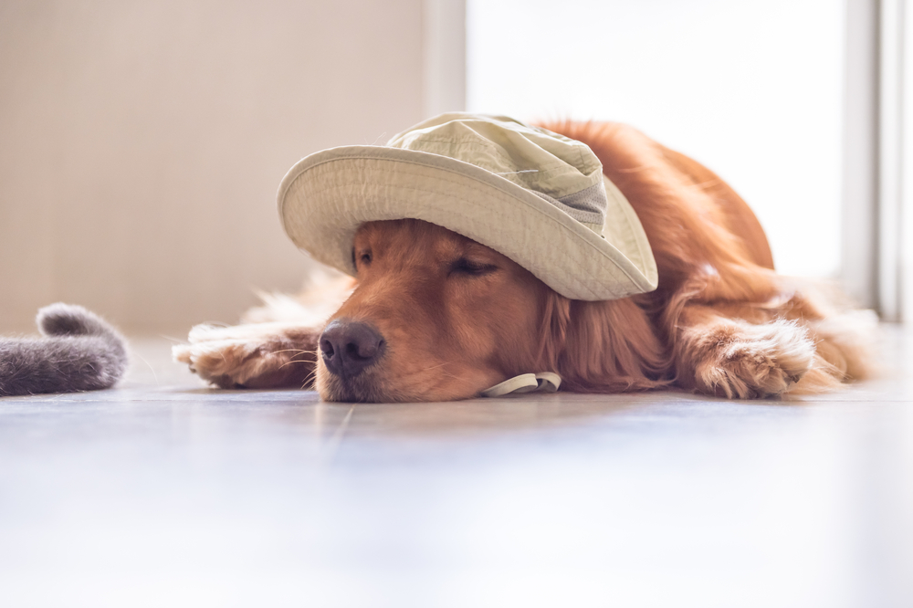 Image Why Bucket Hats Are a Must Have Hat All Year Long