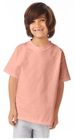 Image Hanes Youth 6.1oz., Tagless T-Shirt