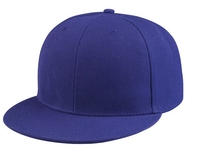 Image Mega Pro Style Fitted Baseball Cap