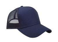 Blue the Dog 5 Panel Hat – Spin Ultimate